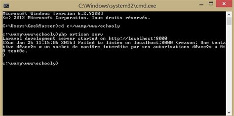 localhost:8002/|Artisan Error: Failed to listen on localhost:8000 .